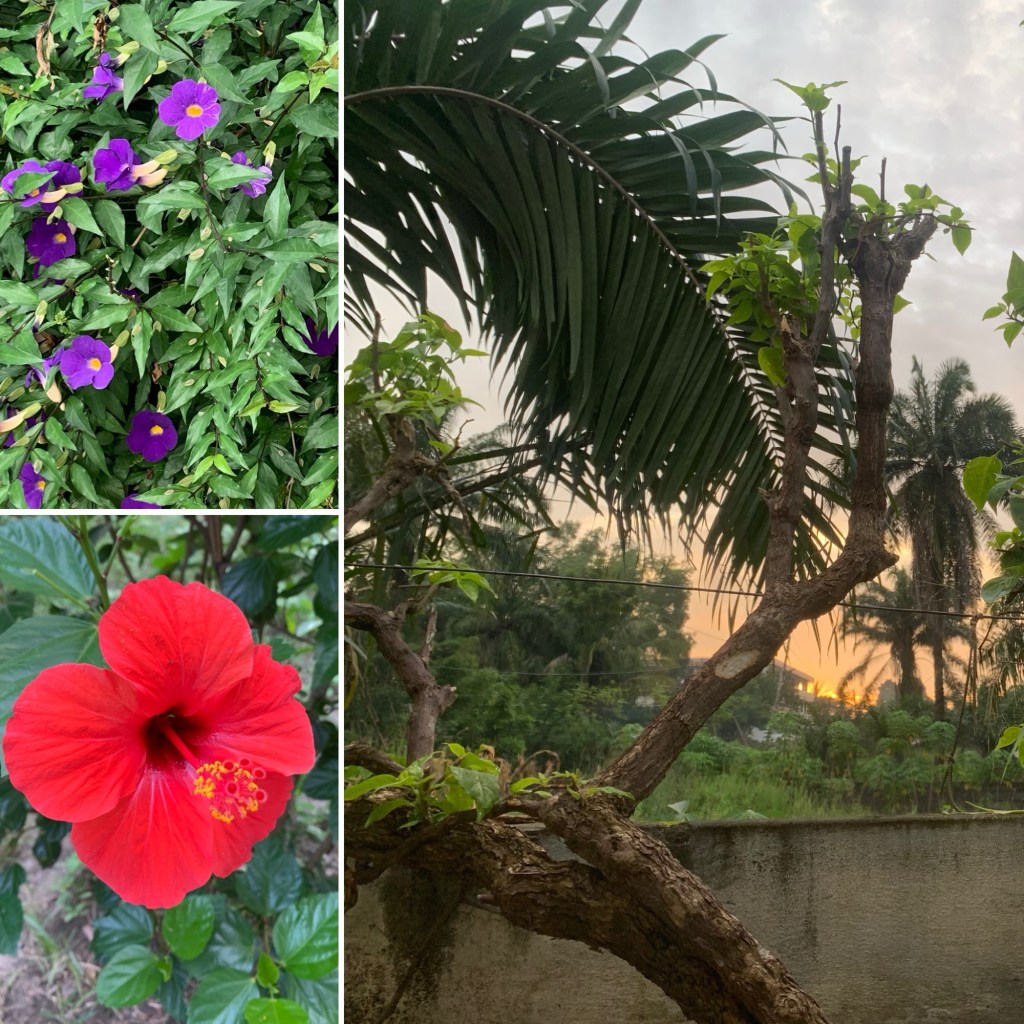 Protégé&nbsp;: Notre chez nous et ses&nbsp;alentours